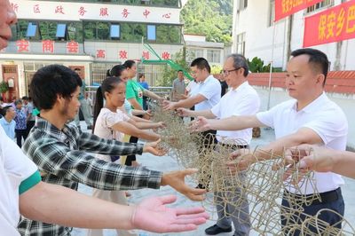 保安鄉(xiāng) 巧手編織致富路 藤藝培訓(xùn)促增收